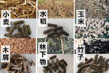 吕氏贵宾会(中国区)官方网站